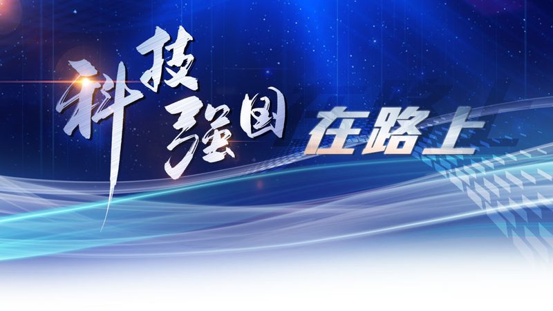 OA协同办公安全考量：优与劣的深层剖析