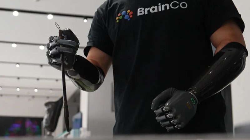 企业搜索技术架构：如何解析其差异与选择